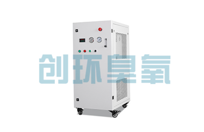 隆化比传统换水更高效？臭氧发生器在石斑鱼养殖中的水质净化原理解析