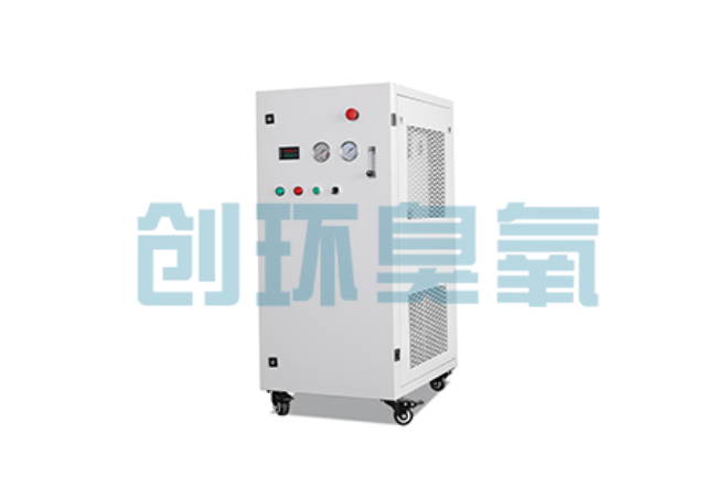 隆化比传统换水更高效？臭氧发生器在石斑鱼养殖中的水质净化原理解析